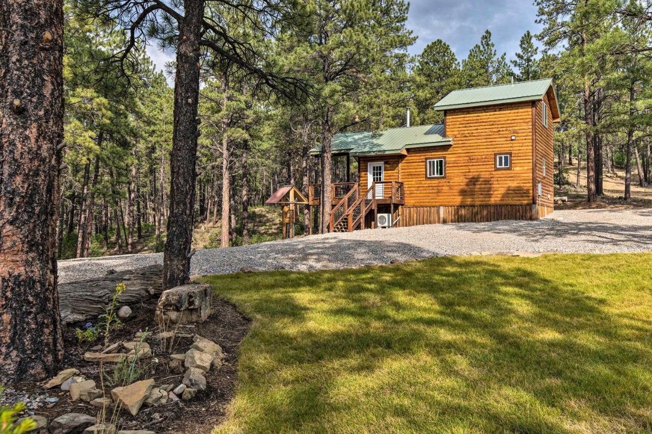 Cabin At The Little Ranch Hiking On-Site! Villa Bayfield Esterno foto